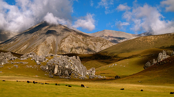 To the most spectacularly unspoiled country I've seen so far: New Zealand.
