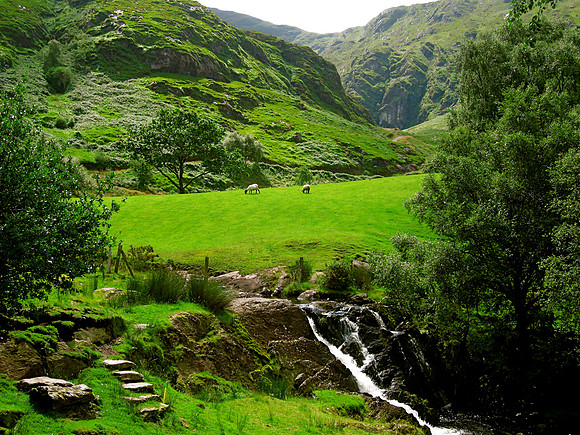 To Ireland. A million different shades of GREEN.