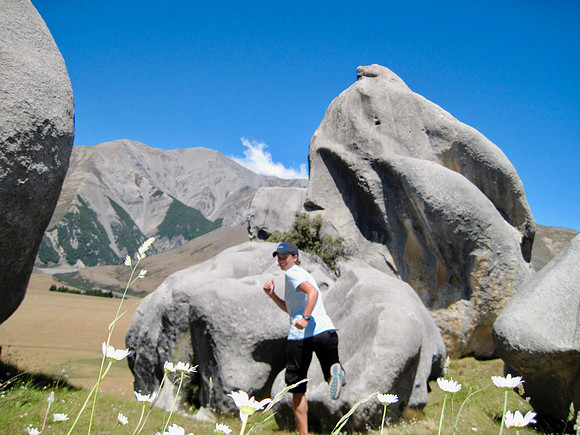 Rare known fact. the wildflowers in New Zealand are known to chase you.