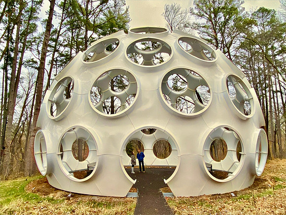 Our final walk, in the North Loop of the Crystal Bridges forest.