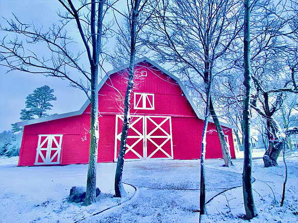 Snow day at The Momentary in Bentonville February 2024