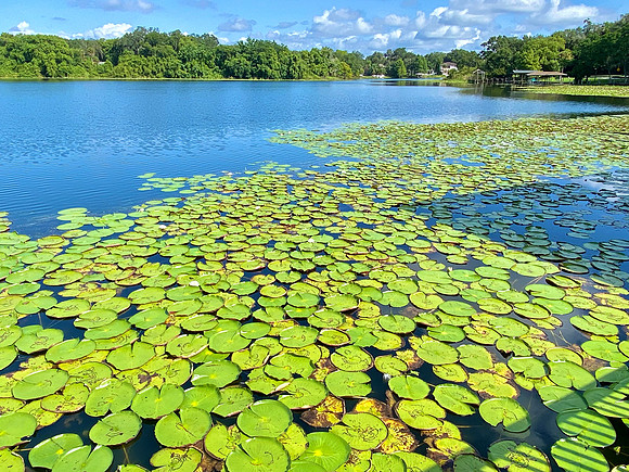 Winter Park, Orlando area in Florida.