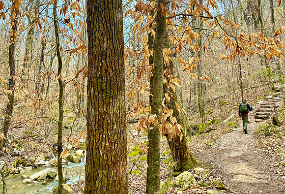 Buffalo National River